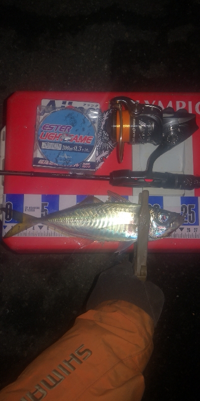 アジング練習 256 ヤマトヨ エステルラ…