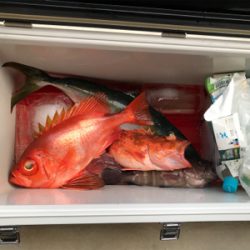 タイラバ あれこれ