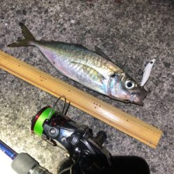 激渋メバリング