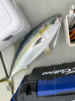 宮津エビスにて丹後沖ジギング