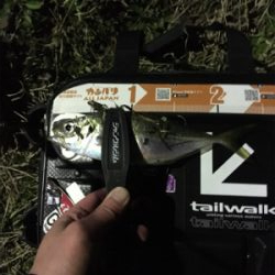 メバルを求めて