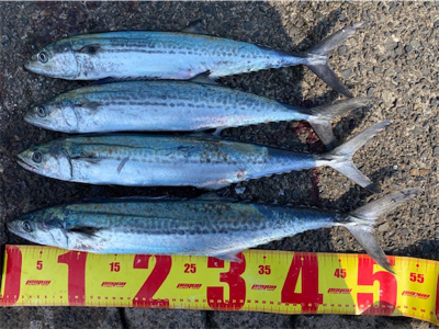 爆風でも高活性！