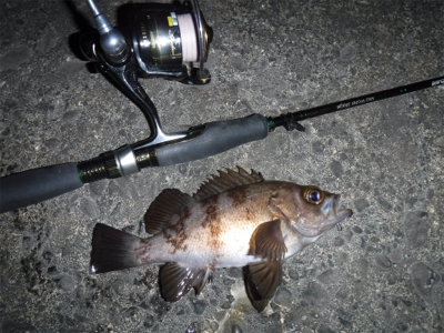 通しでメバリング