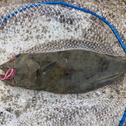 おはようございます