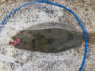 おはようございます