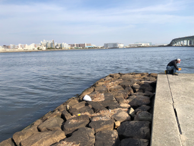 今日は西宮浜でエビ巻きしました。