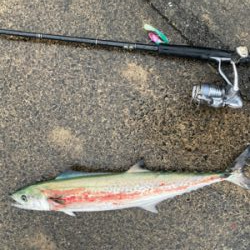 雨にも風にも負けず