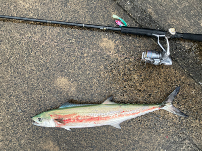 雨にも風にも負けず