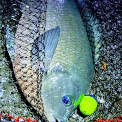 後半は予報通りの暴風。。