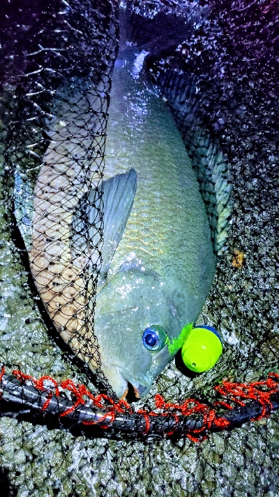 後半は予報通りの暴風。。