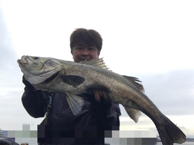 ランカーシーバス