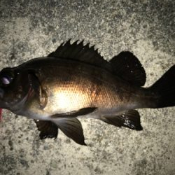 2021ライトゲーム第8戦