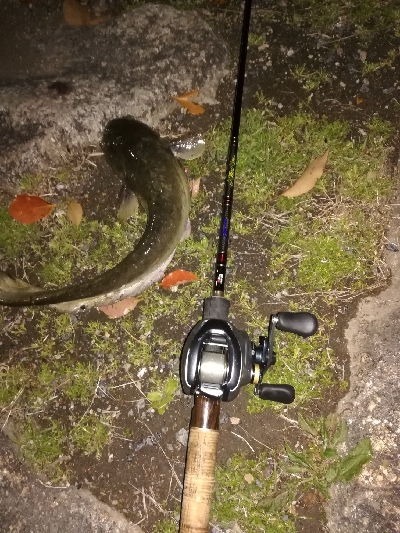 2年ぶりのブラックバス