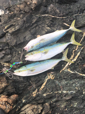 朝マヅメ最高(*｀ω´)b