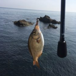 ひさびさの大物