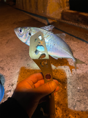 ゲキシブアジング&鯖ゲー