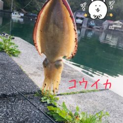 夕まずめに1杯！