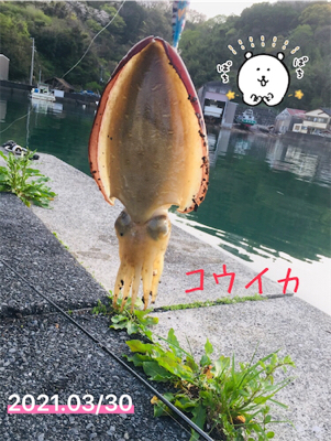 夕まずめに1杯！