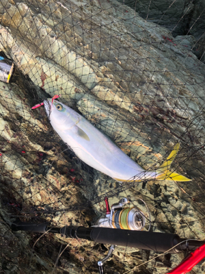 朝マヅメ2時間ショアジギ