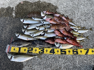 沖堤防で通し釣り