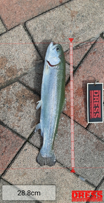 初管理トラウト釣り