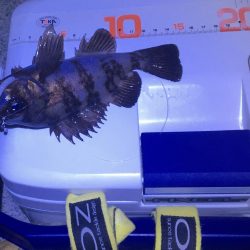 フロートメバリング