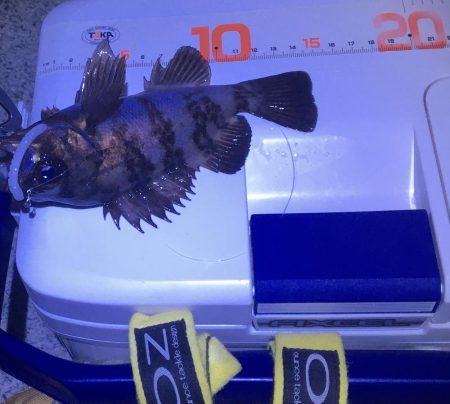 フロートメバリング