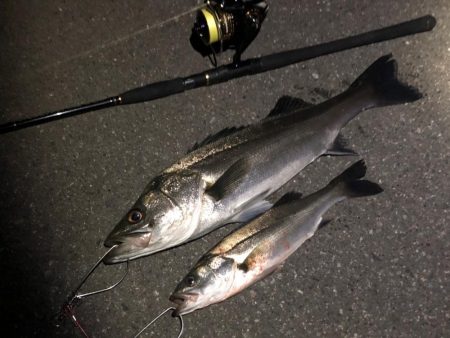 ががっときました。