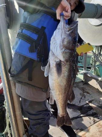 佐渡便五目ジギング