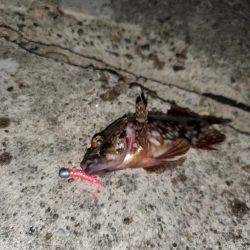 出張先にて港調査