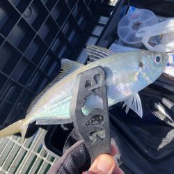 爆風向かい風がキモ