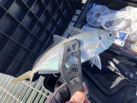 爆風向かい風がキモ