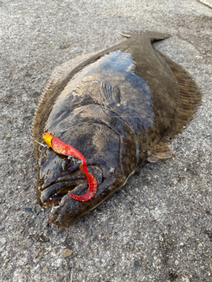 座布団いただきました！