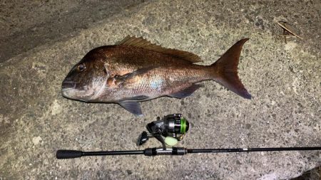 バケモノ釣れた