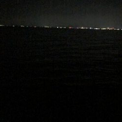 今年初‼︎10年振りバス