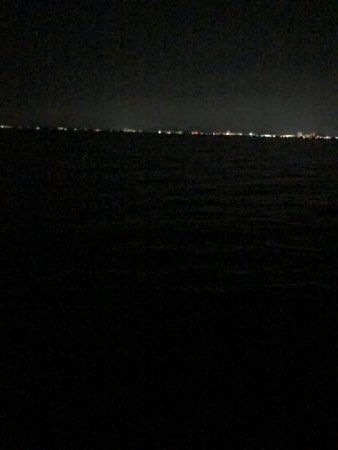 今年初‼︎10年振りバス