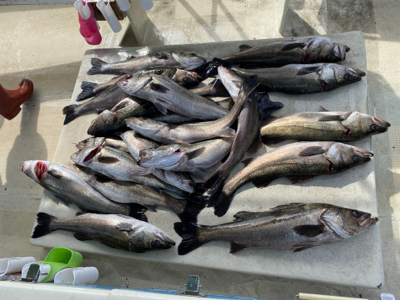 たかみ丸　鯛サビキ