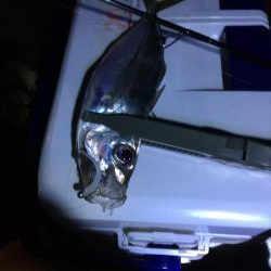 ジグ単De-アジング