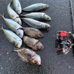 あれ？つ抜け！