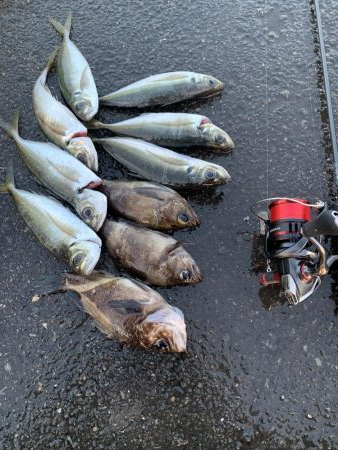 あれ？つ抜け！