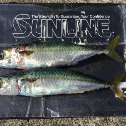 \'21 初釣果⁉…