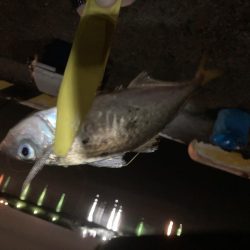 ええのんきました