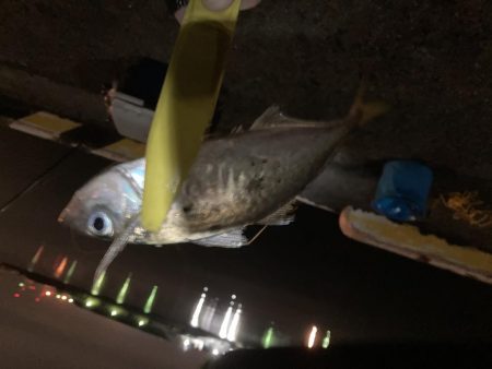 ええのんきました