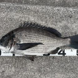 イチノ兄弟、釣果！