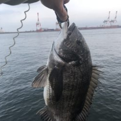 雨が上がりの朝