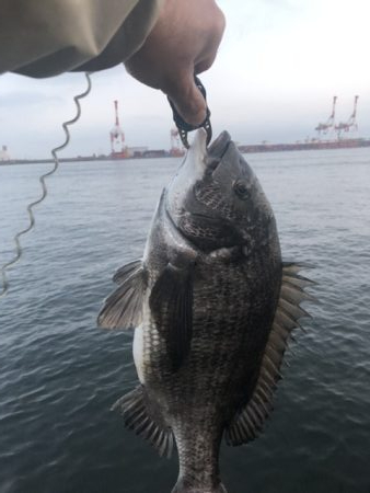 雨が上がりの朝