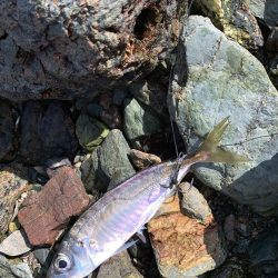 即席引っ掛け！