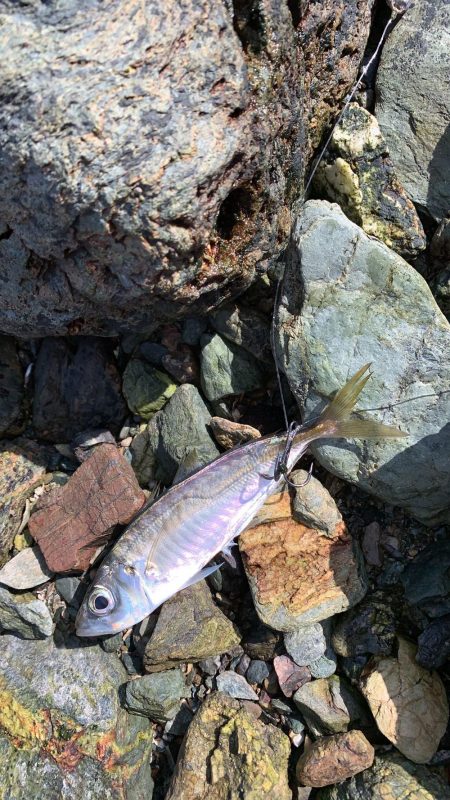 即席引っ掛け！