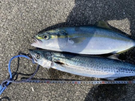 ４投で４ヒット！なのに魚は２匹だけ？（笑）…