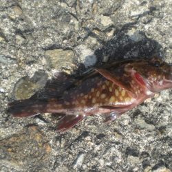 久しぶりの市役所裏